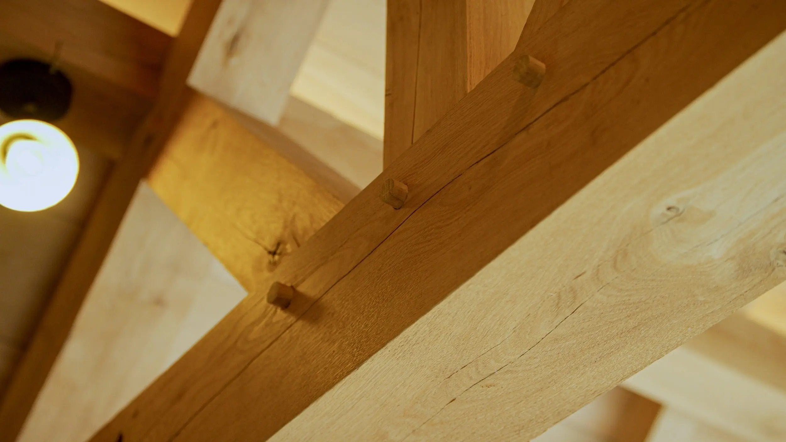 Rome My Wood Build Kit