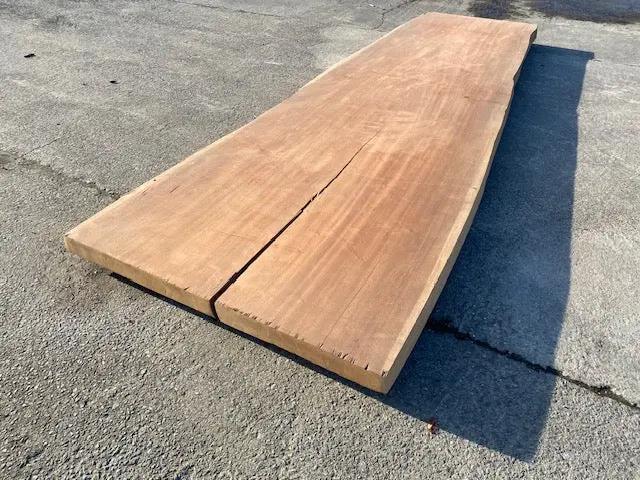 Planche en tronc d'Afrormosia – 4230 x 1210 x 80 mm – Geschuurd My Wood Build Kit