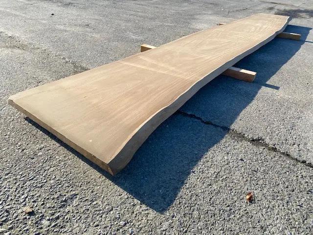 Planche en tronc d'Afrormosia – 4500 x 720 x 40 mm My Wood Build Kit