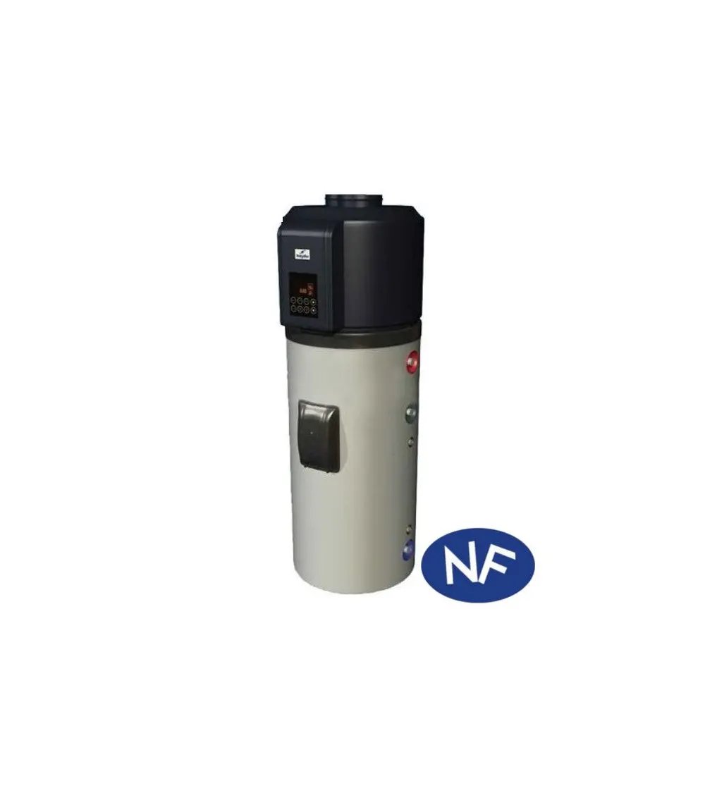 BALLON THERMO DYNAMIQUE 300 L SOLAIRE 1 ECH LABEL NF Poussiere-bois-de-chauffage