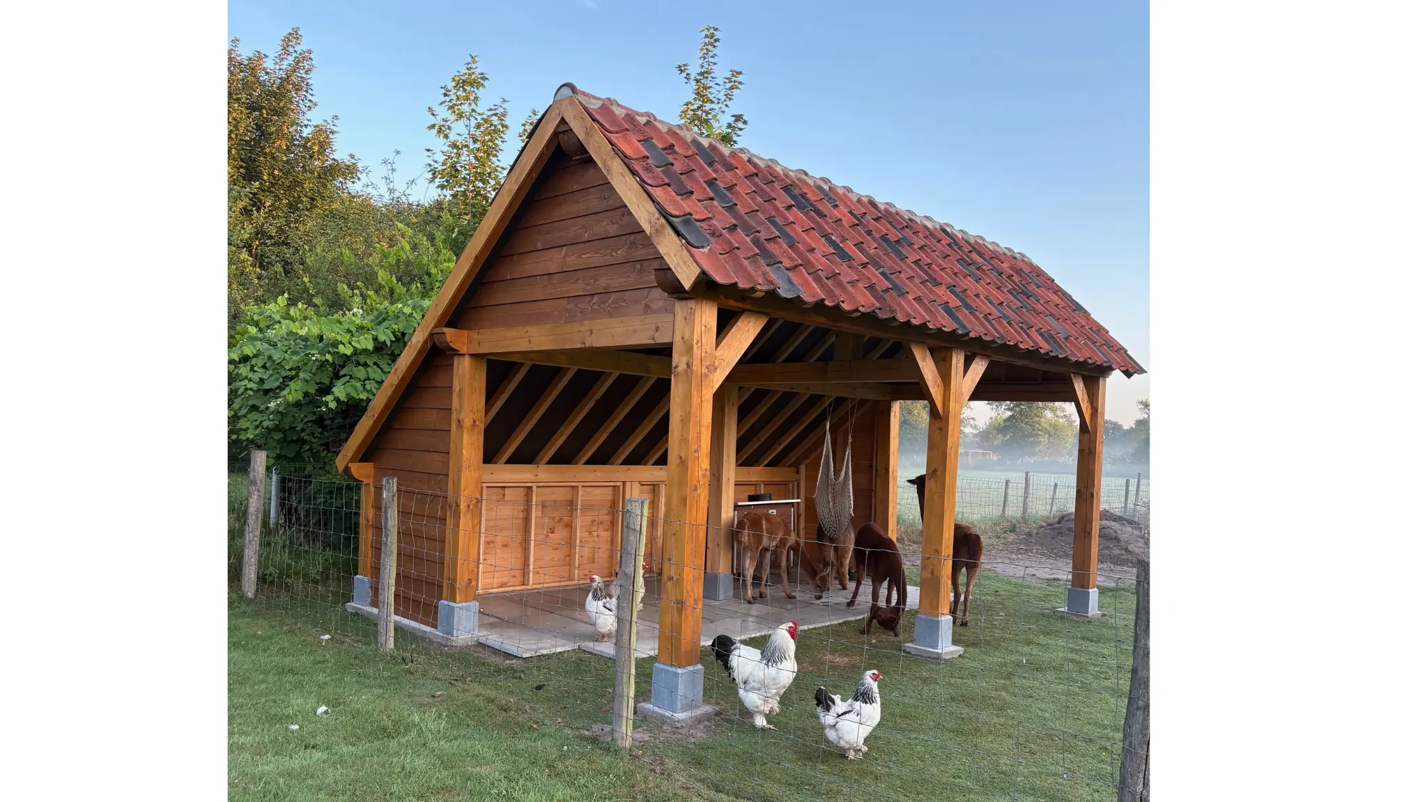 Sofia My Wood Build Kit